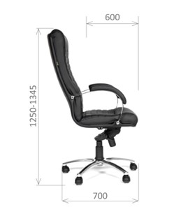 Кресло офисное CHAIRMAN 480 Экокожа премиум черная в Симферополе - предосмотр 2